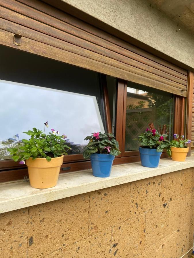 Il Giardinetto Di Elelu' Private Garage Apartment Orvieto Bagian luar foto